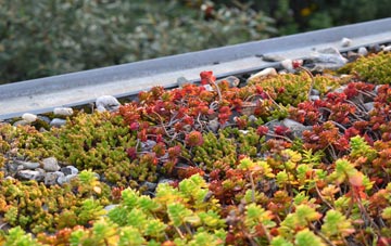 the cost of Bunavullin green roof installation