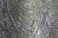 Bunavullin fibreglass roof work